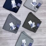 chain craft cotton pant